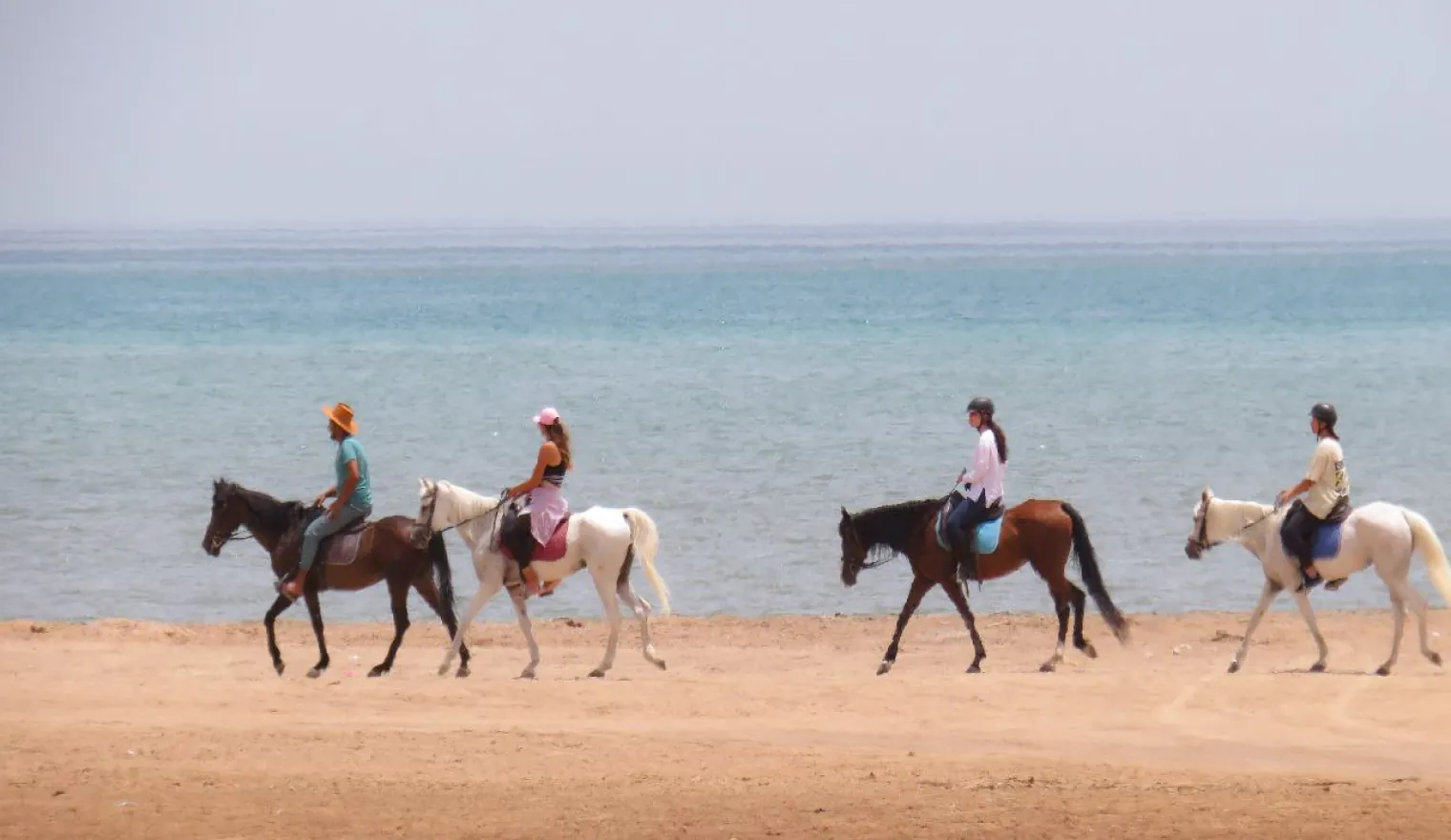 Group of people riding horses on the beach